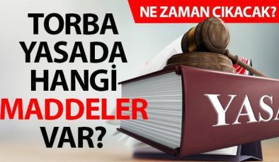 TORBA YASA NE ZAMAN ÇIKACAK? (19 Ocak) | Vergi affı, kademeli emeklilik, taşerona kadro ve 3600 ek gösterge belli oldu mu?