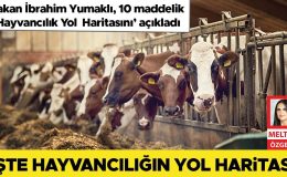 İşte hayvancılığın yol haritası