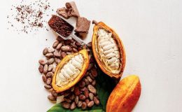 Hızla artan fiyatlar tarihi seviyede: Dünya ‘kakao’ krizinin eşiğinde