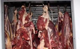 At eti haram mı, zararlı mı, yenir mi? İstanbul’un göbeğinde kaçak at kesimi!