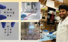 Organları taklit eden ‘çip’ geliştiriliyor